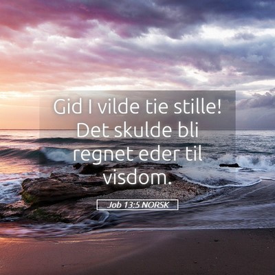 Picture 05 - Job 13:5 NORSK - Gid I vilde tie stille! Det skulde bli regnet - Bible Verse Picture