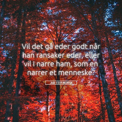 Picture 05 - Job 13:9 NORSK - Vil det gå eder godt når han ransaker eder, - Bible Verse Picture