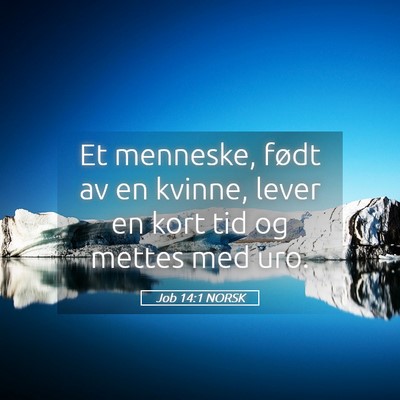 Picture 05 - Job 14:1 NORSK - Et menneske, født av en kvinne, lever en kort - Bible Verse Picture