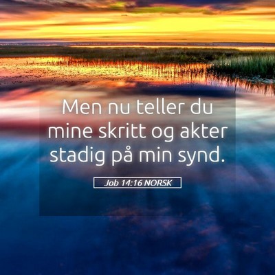 Picture 05 - Job 14:16 NORSK - Men nu teller du mine skritt og akter stadig på - Bible Verse Picture