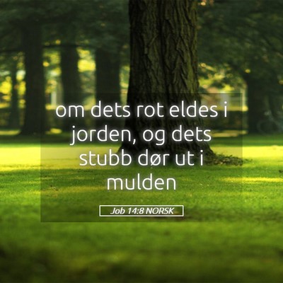 Picture 05 - Job 14:8 NORSK - om dets rot eldes i jorden, og dets stubb dør ut - Bible Verse Picture