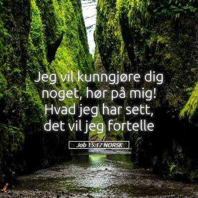 Picture 05 - Job 15:17 NORSK - Jeg vil kunngjøre dig noget, hør på mig! Hvad - Bible Verse Picture