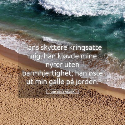 Picture 05 - Job 16:13 NORSK - Hans skyttere kringsatte mig, han kløvde mine - Bible Verse Picture