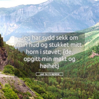 Picture 05 - Job 16:15 NORSK - Jeg har sydd sekk om min hud og stukket mitt horn - Bible Verse Picture