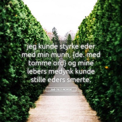 Picture 05 - Job 16:5 NORSK - jeg kunde styrke eder med min munn, {de. med - Bible Verse Picture