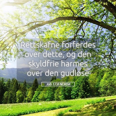 Picture 05 - Job 17:8 NORSK - Rettskafne forferdes over dette, og den skyldfrie - Bible Verse Picture