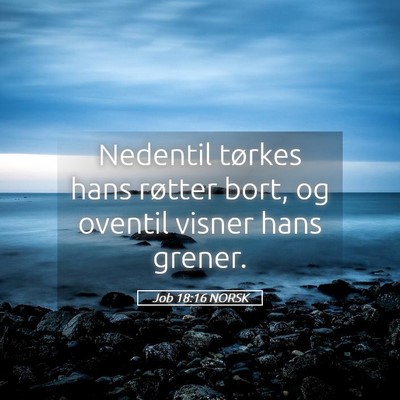 Picture 05 - Job 18:16 NORSK - Nedentil tørkes hans røtter bort, og oventil - Bible Verse Picture