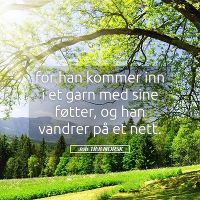 Picture 05 - Job 18:8 NORSK - for han kommer inn i et garn med sine føtter, og - Bible Verse Picture