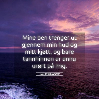 Picture 05 - Job 19:20 NORSK - Mine ben trenger ut gjennem min hud og mitt - Bible Verse Picture