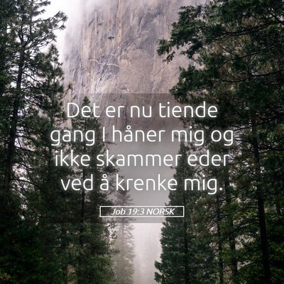 Picture 05 - Job 19:3 NORSK - Det er nu tiende gang I håner mig og ikke - Bible Verse Picture