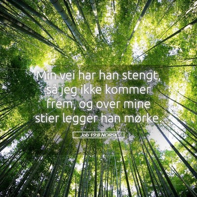 Picture 05 - Job 19:8 NORSK - Min vei har han stengt, så jeg ikke kommer frem, - Bible Verse Picture