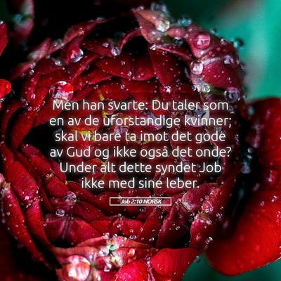 Picture 05 - Job 2:10 NORSK - Men han svarte: Du taler som en av de - Bible Verse Picture