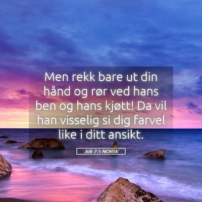 Picture 05 - Job 2:5 NORSK - Men rekk bare ut din hånd og rør ved hans ben - Bible Verse Picture