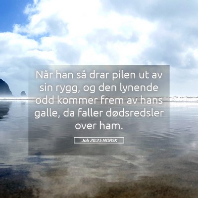 Picture 05 - Job 20:25 NORSK - Når han så drar pilen ut av sin rygg, og den - Bible Verse Picture