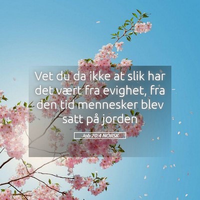 Picture 05 - Job 20:4 NORSK - Vet du da ikke at slik har det vært fra evighet, - Bible Verse Picture