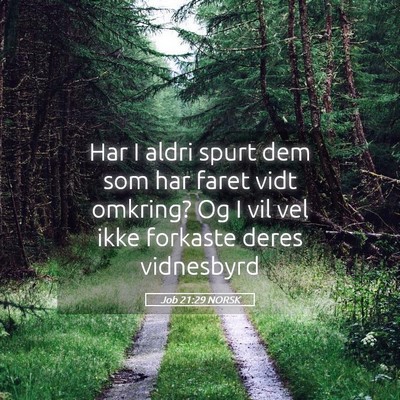 Picture 05 - Job 21:29 NORSK - Har I aldri spurt dem som har faret vidt omkring? - Bible Verse Picture