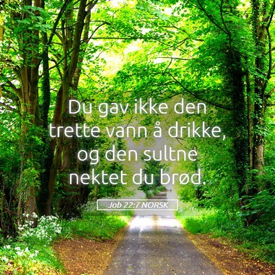 Picture 05 - Job 22:7 NORSK - Du gav ikke den trette vann å drikke, og den - Bible Verse Picture
