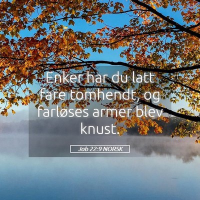 Picture 05 - Job 22:9 NORSK - Enker har du latt fare tomhendt, og farløses - Bible Verse Picture