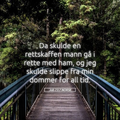 Picture 05 - Job 23:7 NORSK - Da skulde en rettskaffen mann gå i rette med - Bible Verse Picture