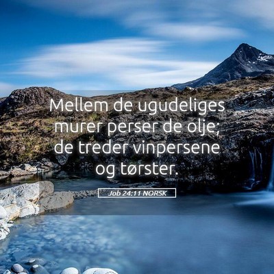 Picture 05 - Job 24:11 NORSK - Mellem de ugudeliges murer perser de olje; de - Bible Verse Picture