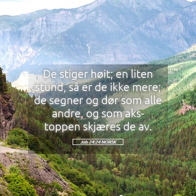 Picture 05 - Job 24:24 NORSK - De stiger høit; en liten stund, så er de ikke - Bible Verse Picture