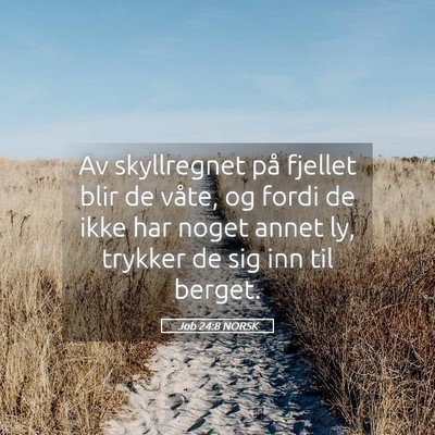 Picture 05 - Job 24:8 NORSK - Av skyllregnet på fjellet blir de våte, og - Bible Verse Picture
