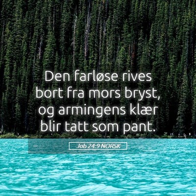 Picture 05 - Job 24:9 NORSK - Den farløse rives bort fra mors bryst, og - Bible Verse Picture