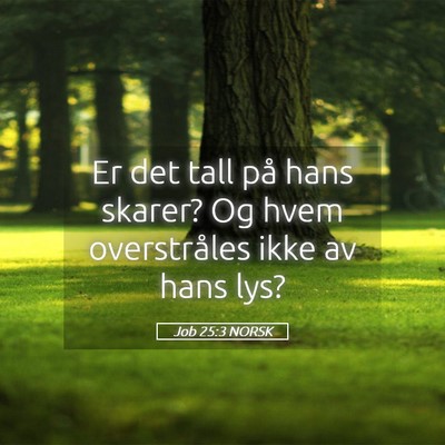 Picture 05 - Job 25:3 NORSK - Er det tall på hans skarer? Og hvem overstråles - Bible Verse Picture