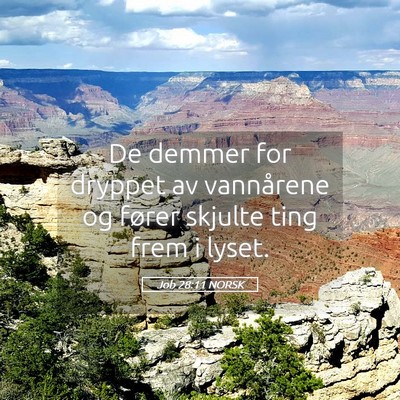 Picture 05 - Job 28:11 NORSK - De demmer for dryppet av vannårene og fører - Bible Verse Picture