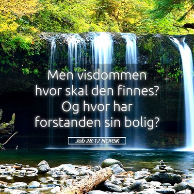 Picture 05 - Job 28:12 NORSK - Men visdommen hvor skal den finnes? Og hvor har - Bible Verse Picture