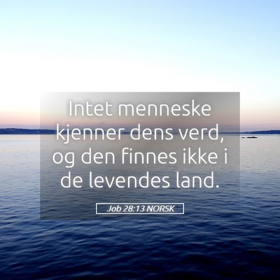 Picture 05 - Job 28:13 NORSK - Intet menneske kjenner dens verd, og den finnes - Bible Verse Picture