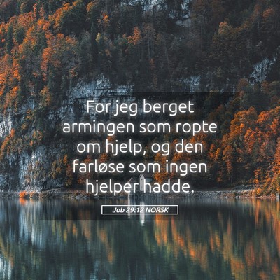 Picture 05 - Job 29:12 NORSK - For jeg berget armingen som ropte om hjelp, og - Bible Verse Picture