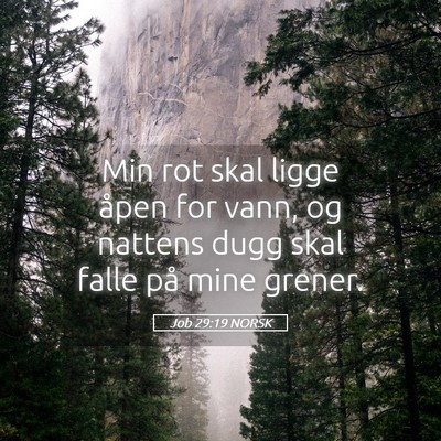 Picture 05 - Job 29:19 NORSK - Min rot skal ligge åpen for vann, og nattens - Bible Verse Picture