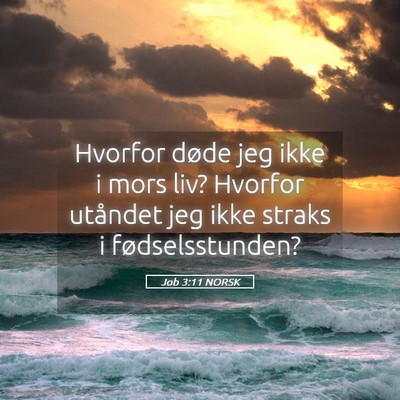 Picture 05 - Job 3:11 NORSK - Hvorfor døde jeg ikke i mors liv? Hvorfor - Bible Verse Picture