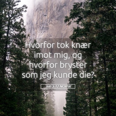 Picture 05 - Job 3:12 NORSK - Hvorfor tok knær imot mig, og hvorfor bryster - Bible Verse Picture