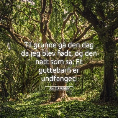 Picture 05 - Job 3:3 NORSK - Til grunne gå den dag da jeg blev født, og den - Bible Verse Picture