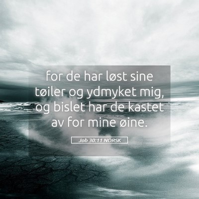 Picture 05 - Job 30:11 NORSK - for de har løst sine tøiler og ydmyket mig, og - Bible Verse Picture