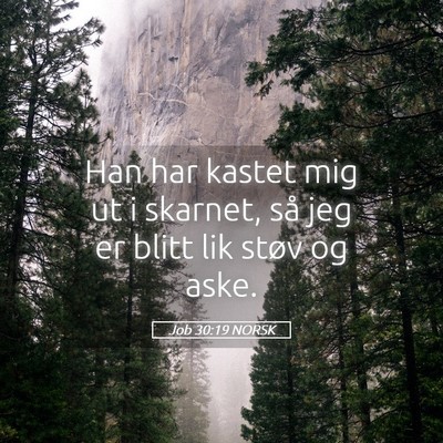 Picture 05 - Job 30:19 NORSK - Han har kastet mig ut i skarnet, så jeg er blitt - Bible Verse Picture