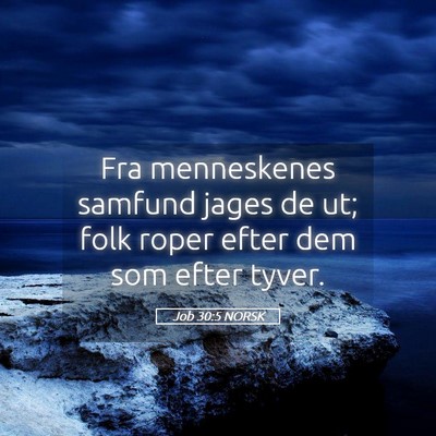 Picture 05 - Job 30:5 NORSK - Fra menneskenes samfund jages de ut; folk roper - Bible Verse Picture