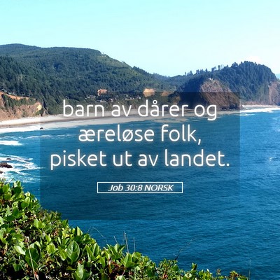 Picture 05 - Job 30:8 NORSK - barn av dårer og æreløse folk, pisket ut av - Bible Verse Picture