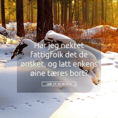 Picture 05 - Job 31:16 NORSK - Har jeg nektet fattigfolk det de ønsket, og latt - Bible Verse Picture