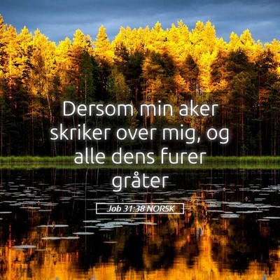 Picture 05 - Job 31:38 NORSK - Dersom min aker skriker over mig, og alle dens - Bible Verse Picture