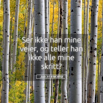 Picture 05 - Job 31:4 NORSK - Ser ikke han mine veier, og teller han ikke alle - Bible Verse Picture