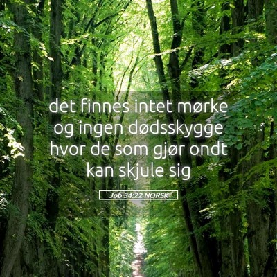 Picture 05 - Job 34:22 NORSK - det finnes intet mørke og ingen dødsskygge hvor - Bible Verse Picture