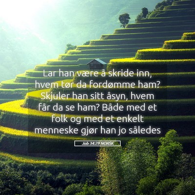 Picture 05 - Job 34:29 NORSK - Lar han være å skride inn, hvem tør da - Bible Verse Picture