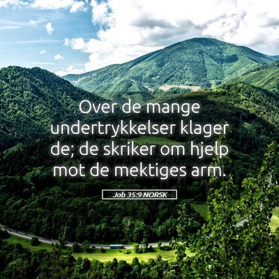 Picture 05 - Job 35:9 NORSK - Over de mange undertrykkelser klager de; de - Bible Verse Picture