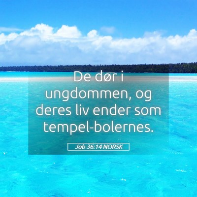 Picture 05 - Job 36:14 NORSK - De dør i ungdommen, og deres liv ender som - Bible Verse Picture