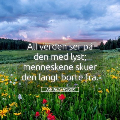 Picture 05 - Job 36:25 NORSK - All verden ser på den med lyst; menneskene skuer - Bible Verse Picture