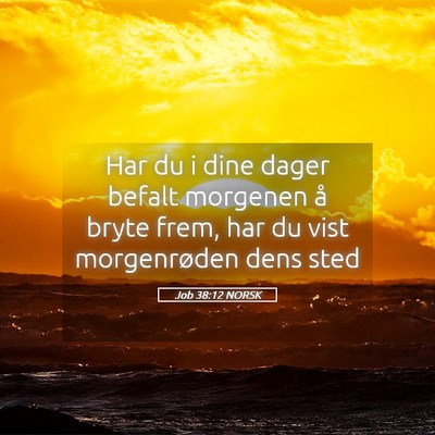 Picture 05 - Job 38:12 NORSK - Har du i dine dager befalt morgenen å bryte - Bible Verse Picture