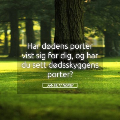 Picture 05 - Job 38:17 NORSK - Har dødens porter vist sig for dig, og har du - Bible Verse Picture